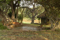 Area next to Shingwedzi and behind Kambaku